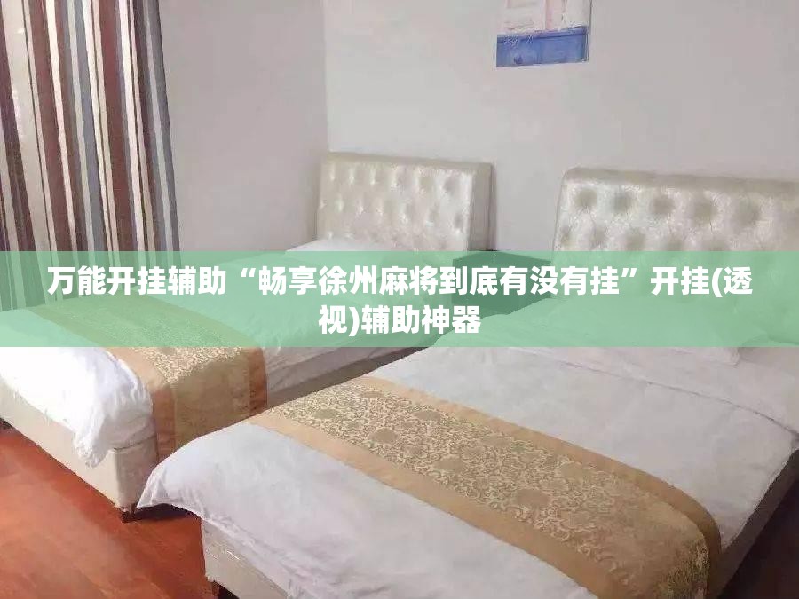 万能开挂辅助“畅享徐州麻将到底有没有挂	”开挂(透视)辅助神器