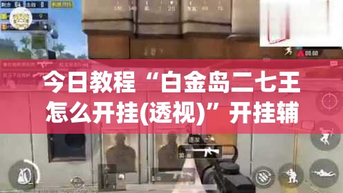 今日教程“白金岛二七王怎么开挂(透视)”开挂辅助脚本+详细开挂安装教程