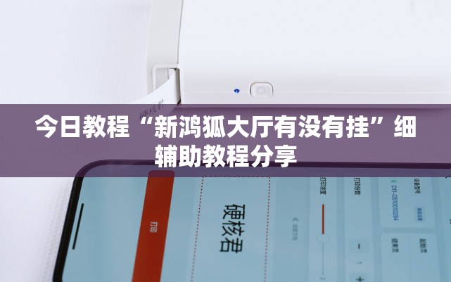 今日教程“新鸿狐大厅有没有挂”细辅助教程分享