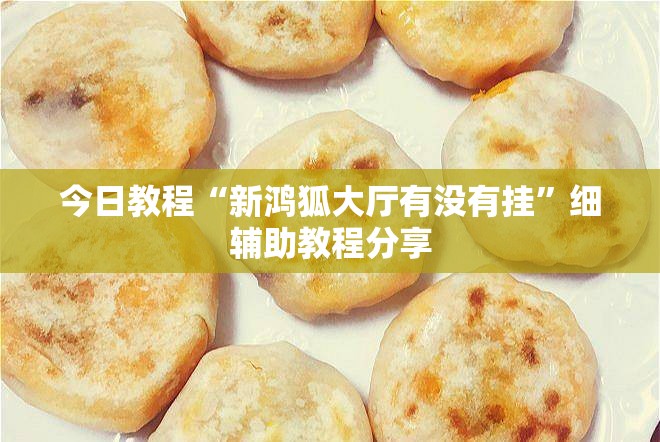 今日教程“新鸿狐大厅有没有挂	”细辅助教程分享