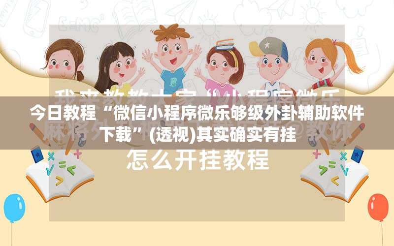 今日教程“微信小程序微乐够级外卦辅助软件下载”(透视)其实确实有挂