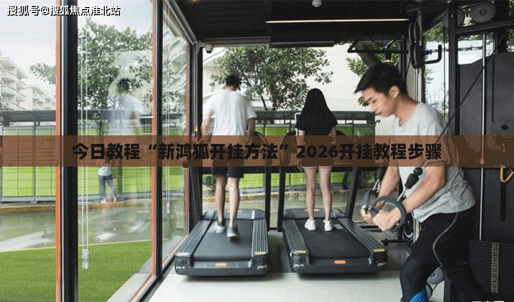 今日教程“新鸿狐开挂方法”2026开挂教程步骤