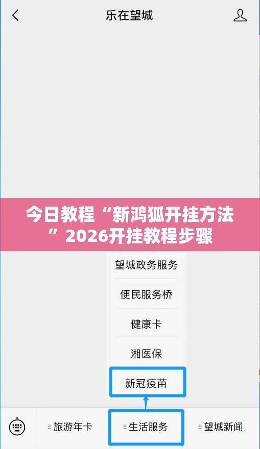 今日教程“新鸿狐开挂方法	”2026开挂教程步骤