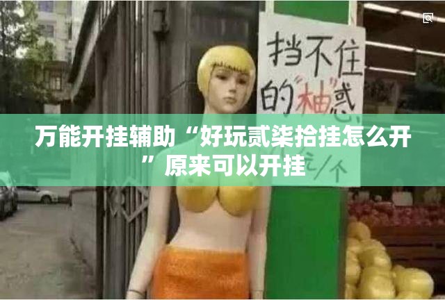 万能开挂辅助“好玩贰柒拾挂怎么开”原来可以开挂