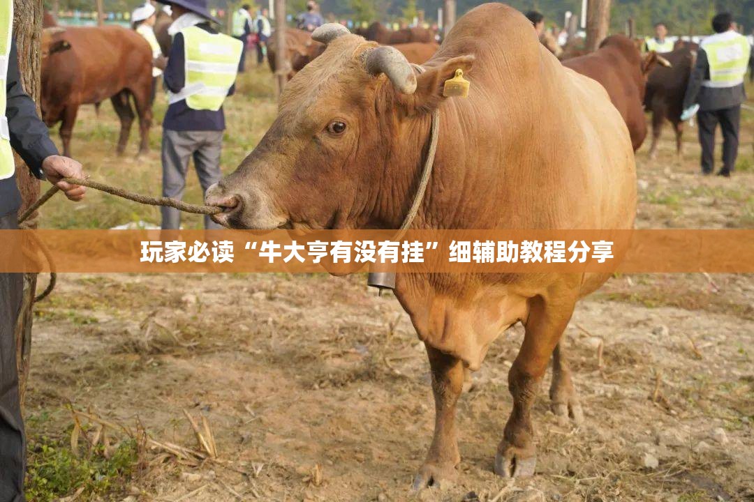 玩家必读“牛大亨有没有挂”细辅助教程分享