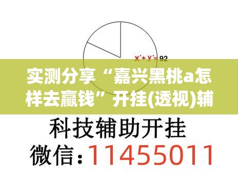 实测分享“嘉兴黑桃a怎样去赢钱”开挂(透视)辅助教程