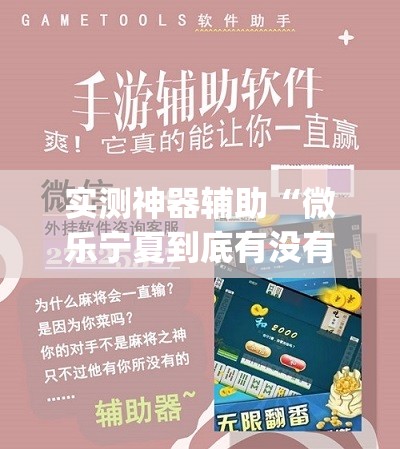 实测神器辅助“微乐宁夏到底有没有挂(透视)”开挂辅助脚本+详细开挂安装教程