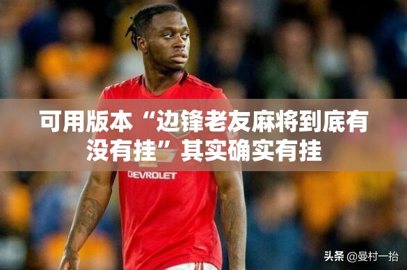 可用版本“边锋老友麻将到底有没有挂”其实确实有挂