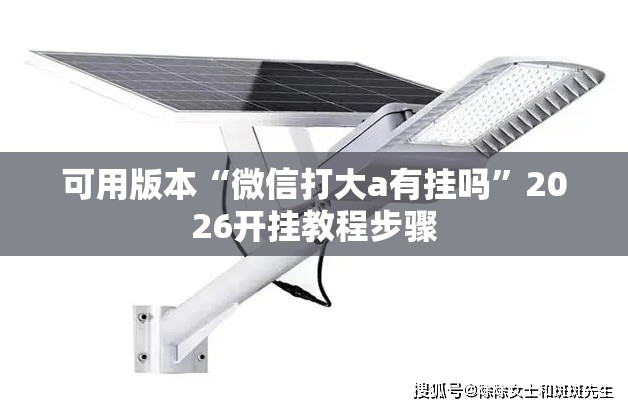 可用版本“微信打大a有挂吗	”2026开挂教程步骤