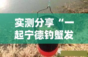 实测分享“一起宁德钓蟹发牌规律”详细外挂透视辅助软件教程