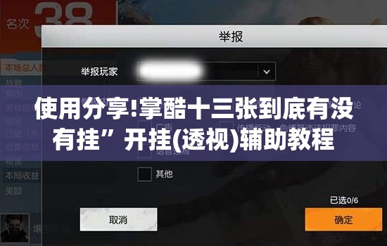 使用分享!掌酷十三张到底有没有挂	”开挂(透视)辅助教程