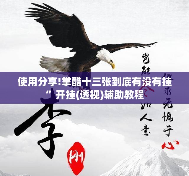 使用分享!掌酷十三张到底有没有挂”开挂(透视)辅助教程