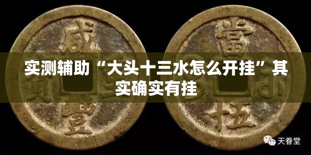 实测辅助“大头十三水怎么开挂	”其实确实有挂
