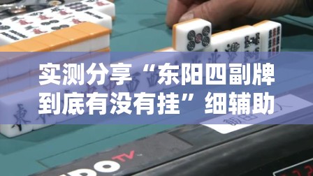实测分享“东阳四副牌到底有没有挂”细辅助教程分享