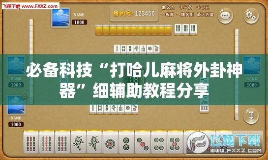 必备科技“打哈儿麻将外卦神器”细辅助教程分享