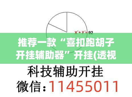 推荐一款“喜扣跑胡子开挂辅助器”开挂(透视)辅助教程