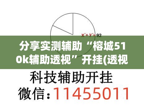 分享实测辅助“榕城510k辅助透视”开挂(透视)辅助教程