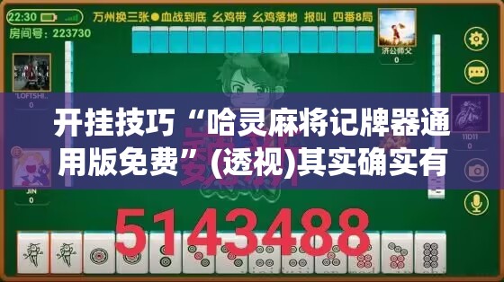 开挂技巧“哈灵麻将记牌器通用版免费	”(透视)其实确实有挂