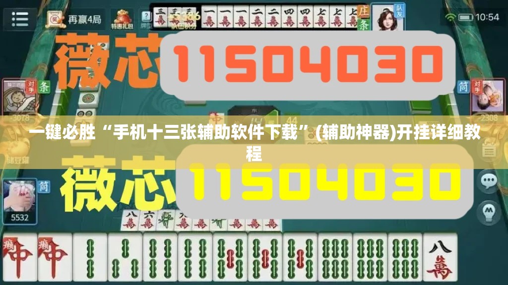 一键必胜“手机十三张辅助软件下载	”(辅助神器)开挂详细教程