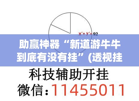 助赢神器“新道游牛牛到底有没有挂	”(透视挂)辅助下载教程