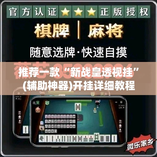 推荐一款“新战皇透视挂”(辅助神器)开挂详细教程