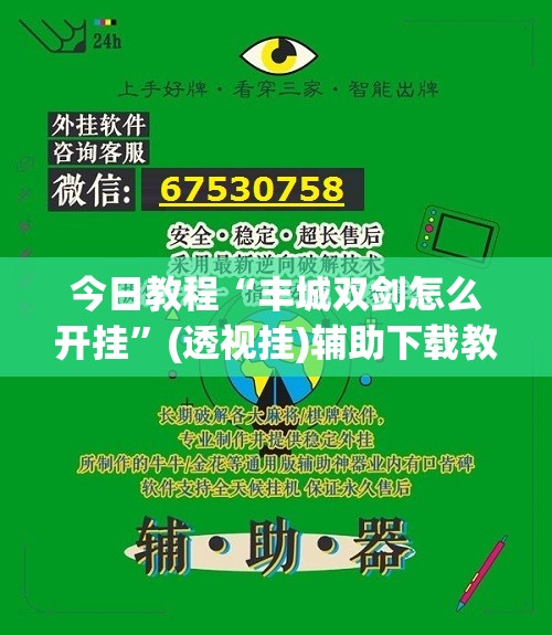 今日教程“丰城双剑怎么开挂”(透视挂)辅助下载教程