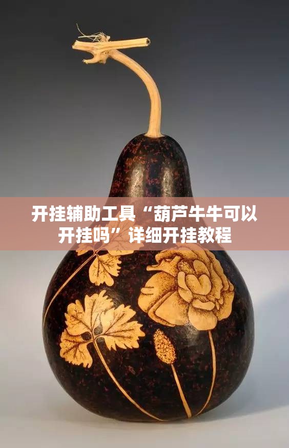 开挂辅助工具“葫芦牛牛可以开挂吗”详细开挂教程