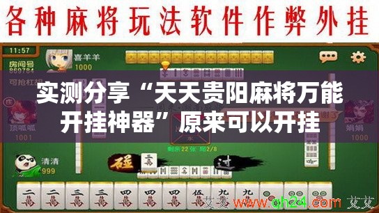 实测分享“天天贵阳麻将万能开挂神器	”原来可以开挂