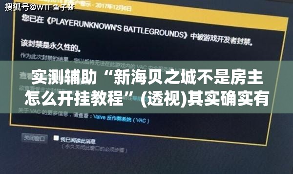 实测辅助“新海贝之城不是房主怎么开挂教程	”(透视)其实确实有挂