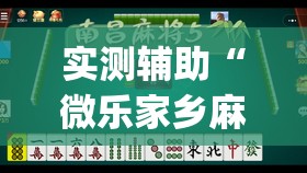实测辅助“微乐家乡麻将万能挂	”开挂(透视)辅助神器
