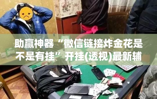助赢神器“微信链接炸金花是不是有挂”开挂(透视)最新辅助详细