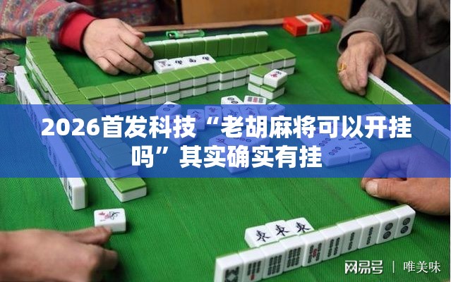 2026首发科技“老胡麻将可以开挂吗”其实确实有挂