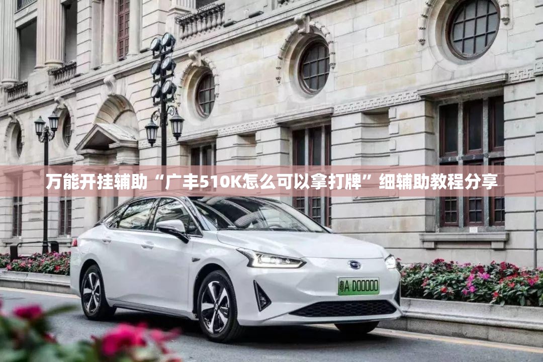 万能开挂辅助“广丰510K怎么可以拿打牌”细辅助教程分享