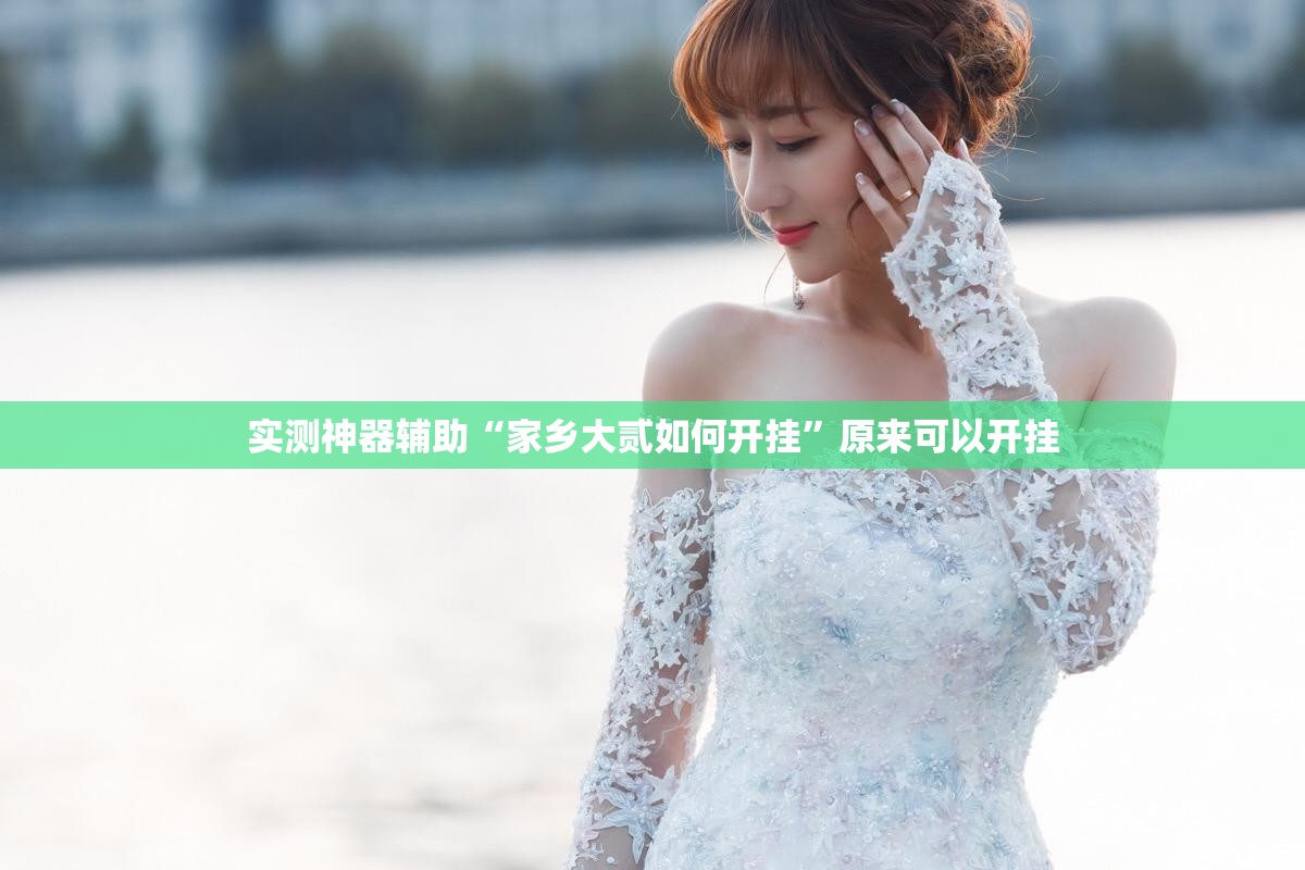实测神器辅助“家乡大贰如何开挂”原来可以开挂