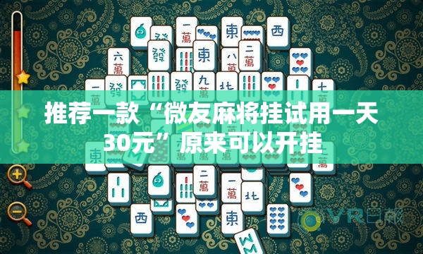 推荐一款“微友麻将挂试用一天30元”原来可以开挂
