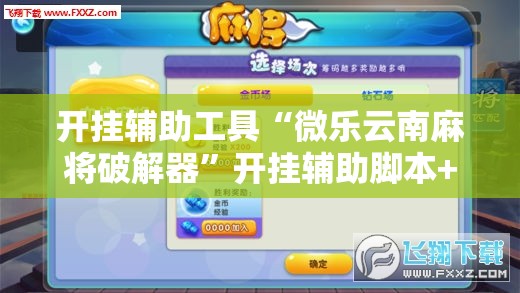 开挂辅助工具“微乐云南麻将破解器	”开挂辅助脚本+详细开挂安装教程
