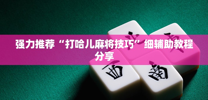 强力推荐“打哈儿麻将技巧”细辅助教程分享