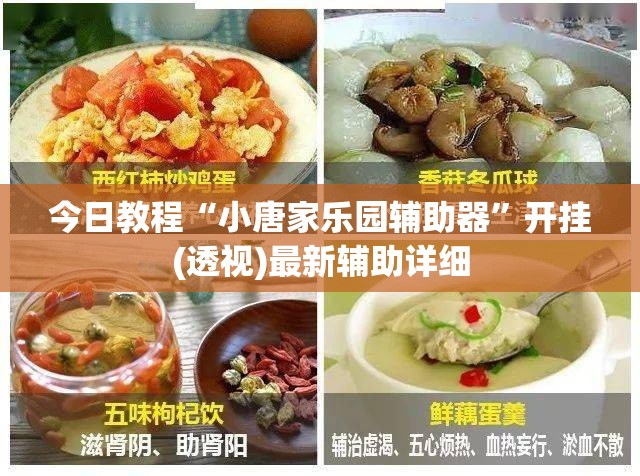 今日教程“小唐家乐园辅助器	”开挂(透视)最新辅助详细