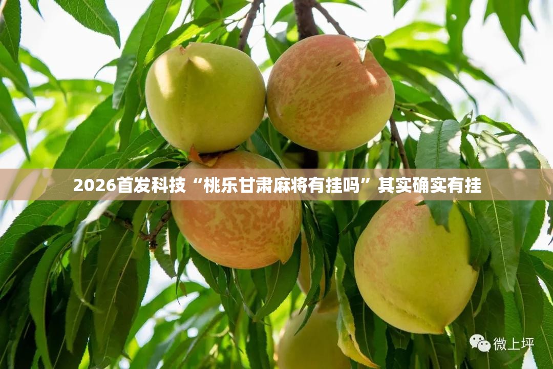 2026首发科技“桃乐甘肃麻将有挂吗	”其实确实有挂