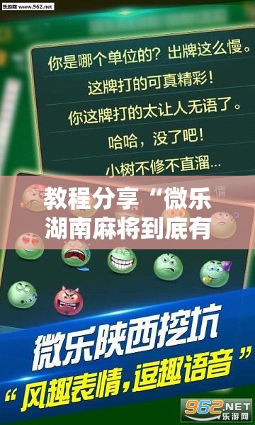 教程分享“微乐湖南麻将到底有没有挂	”详细分享装挂步骤