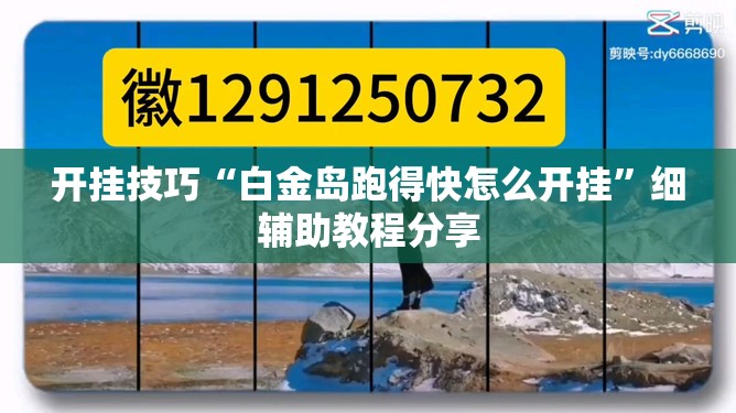 开挂技巧“白金岛跑得快怎么开挂”细辅助教程分享