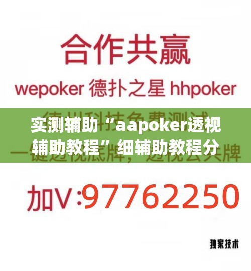 实测辅助“aapoker透视辅助教程”细辅助教程分享
