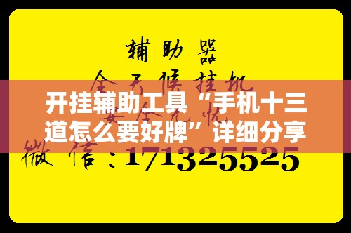 开挂辅助工具“手机十三道怎么要好牌”详细分享装挂步骤