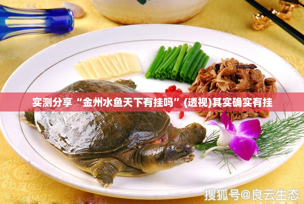 实测分享“金州水鱼天下有挂吗”(透视)其实确实有挂