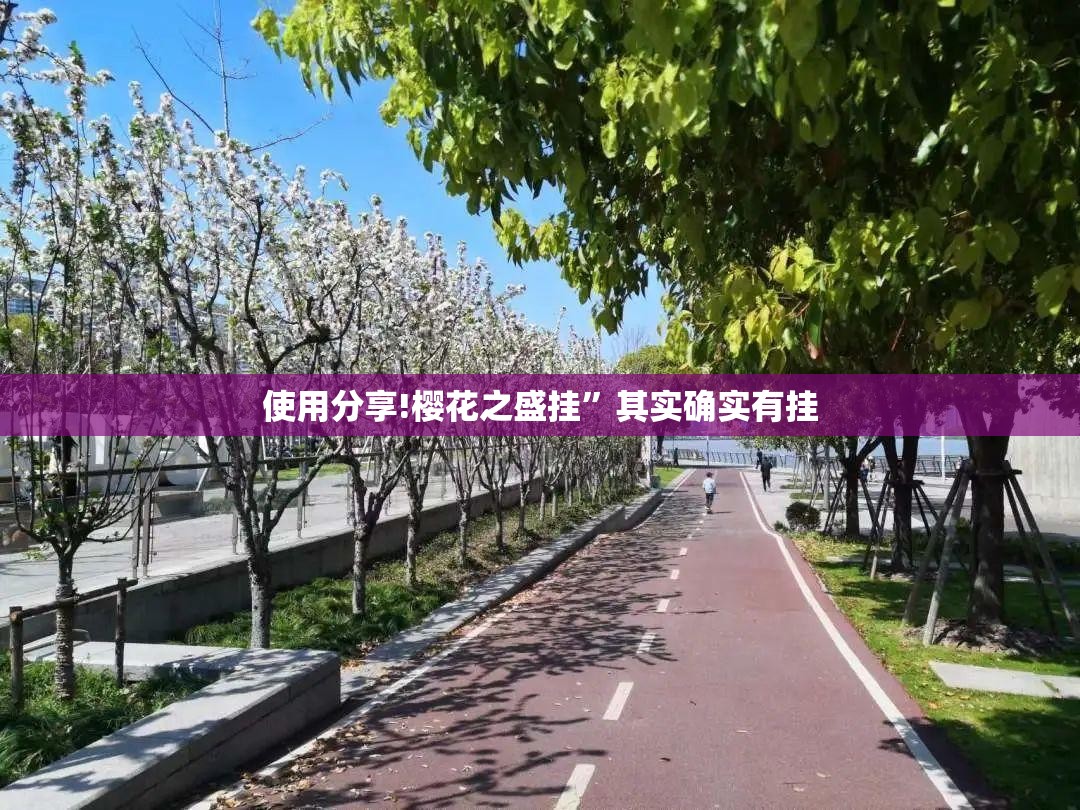 使用分享!樱花之盛挂	”其实确实有挂
