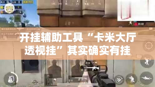 开挂辅助工具“卡米大厅透视挂”其实确实有挂