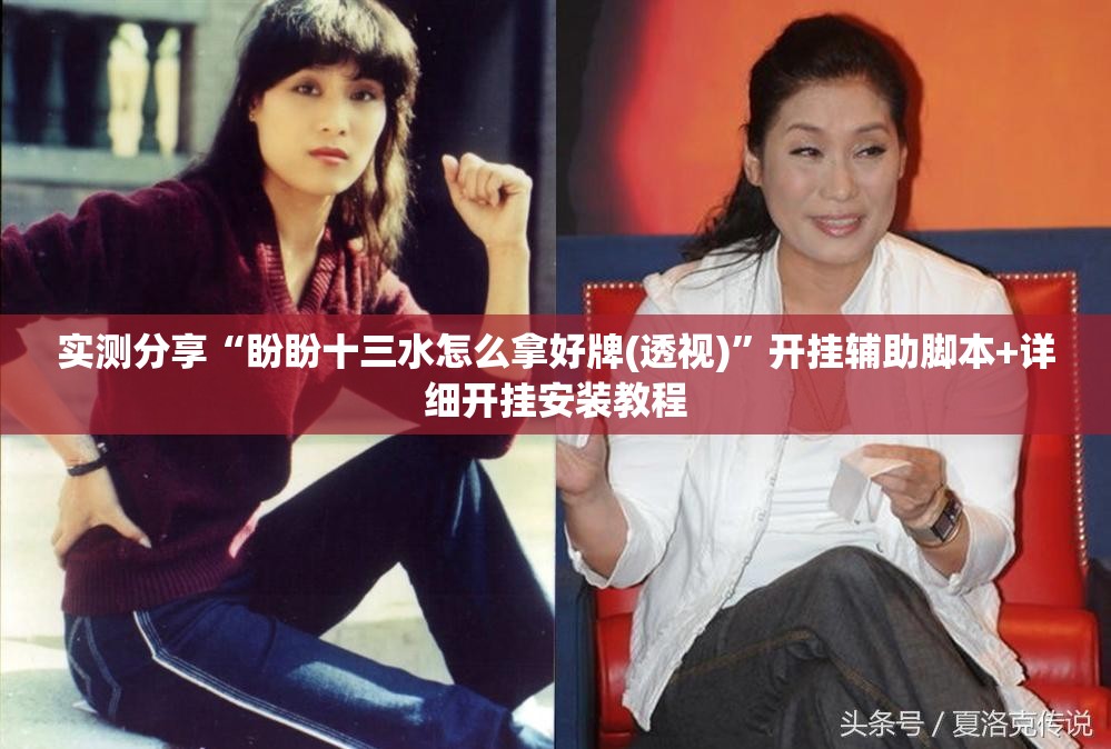 实测分享“盼盼十三水怎么拿好牌(透视)	”开挂辅助脚本+详细开挂安装教程