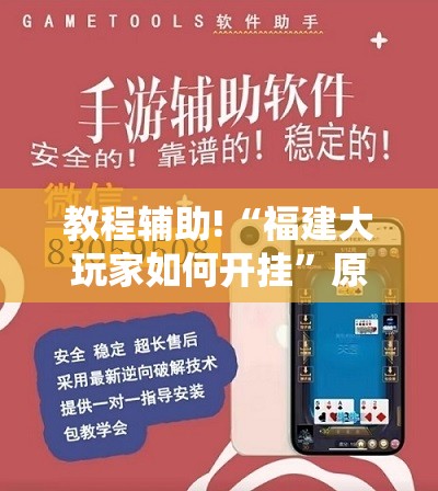教程辅助!“福建大玩家如何开挂”原来可以开挂