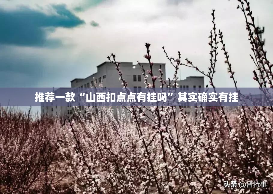 推荐一款“山西扣点点有挂吗	”其实确实有挂