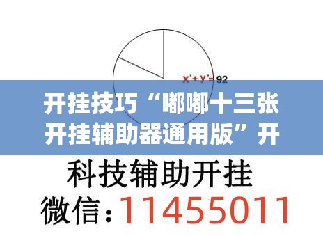 开挂技巧“嘟嘟十三张开挂辅助器通用版	”开挂(透视)辅助教程